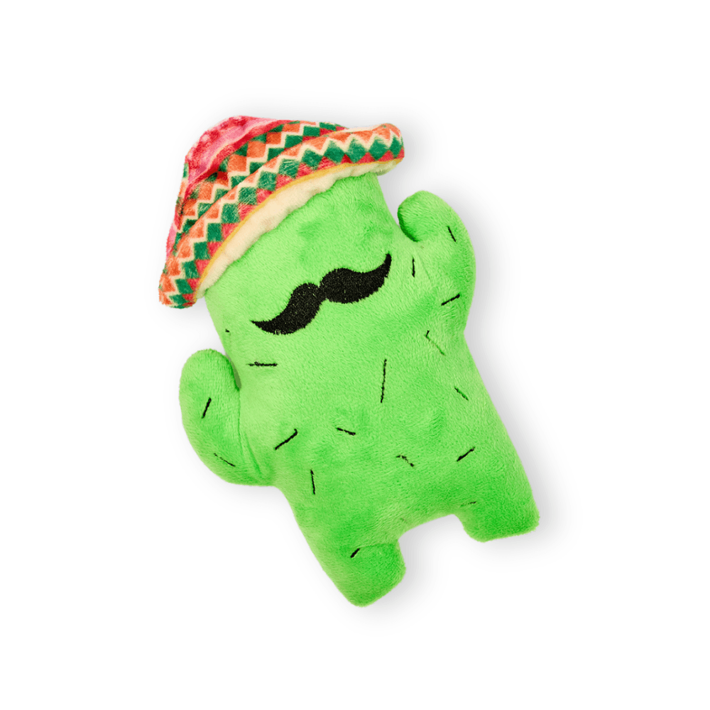 Peluche cactus shop