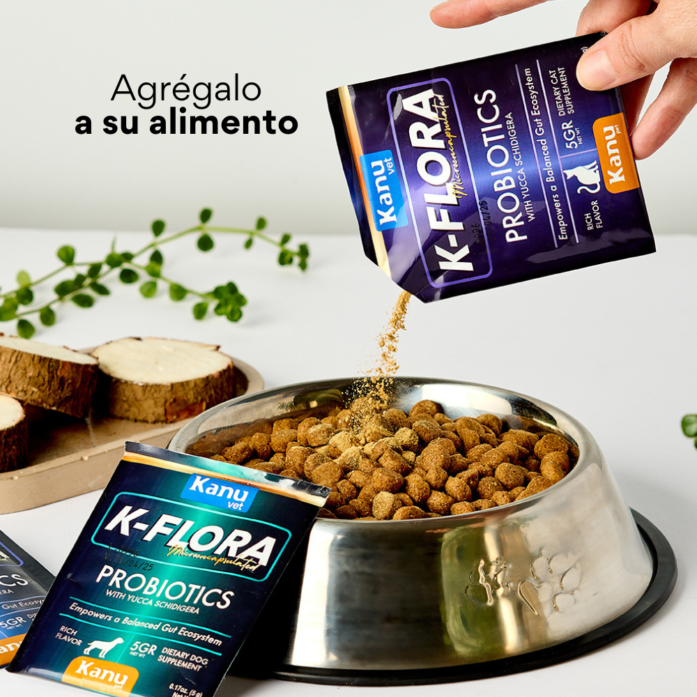 Suplemento Probiótico para gatos K-Flora
