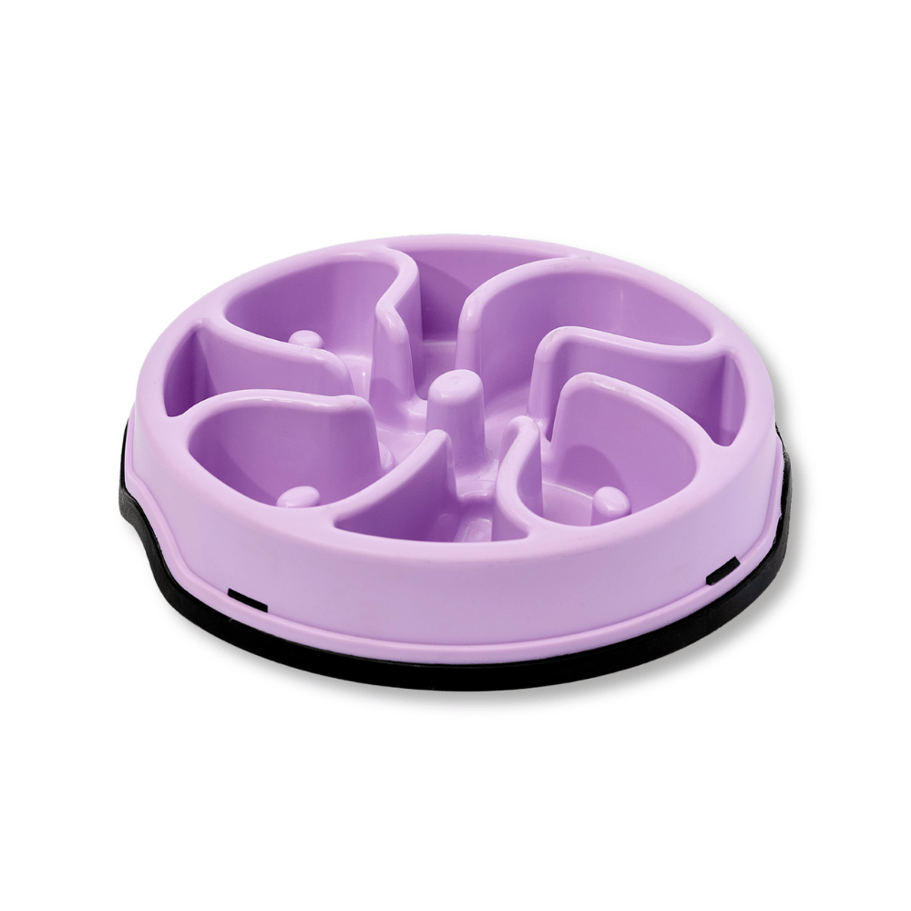 Comedero Circular Antirreflujo Kanu Pet Lila para Perro y Gato