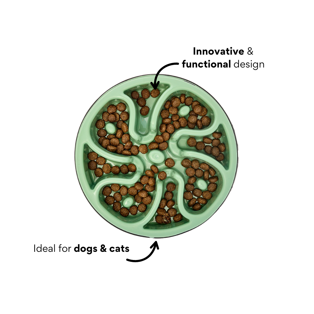 Comedero Circular Antirreflujo Kanu Pet Verde para Perro y Gato