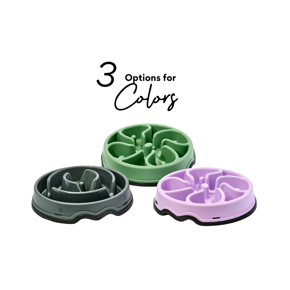Comedero Circular Antirreflujo Kanu Pet Verde para Perro y Gato