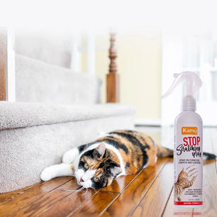 Spray de Entrenamiento Stop Scratching Kanu Pet para Gato