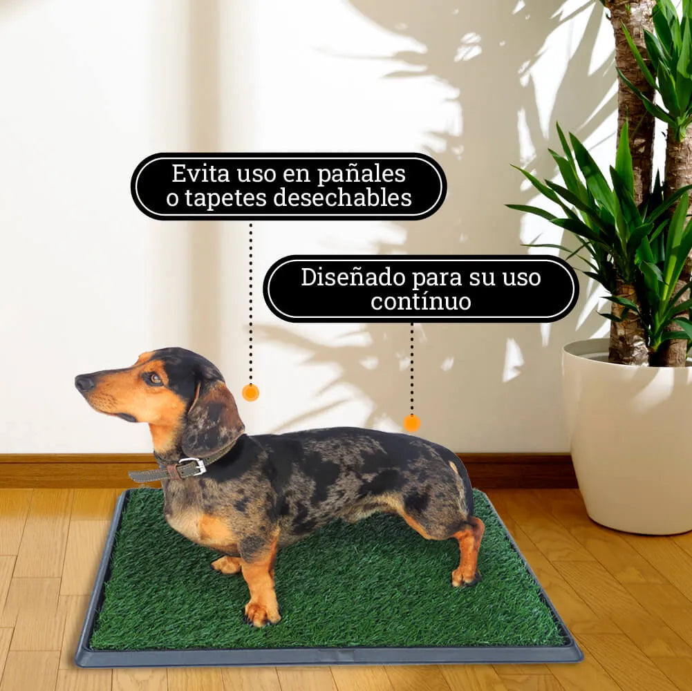 Grama Artificial de Entrenamiento Pet Park Kanu Pet para perro