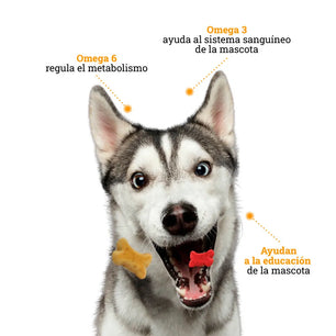 Galletas Sabor a Pollo Kanu Pet para perros