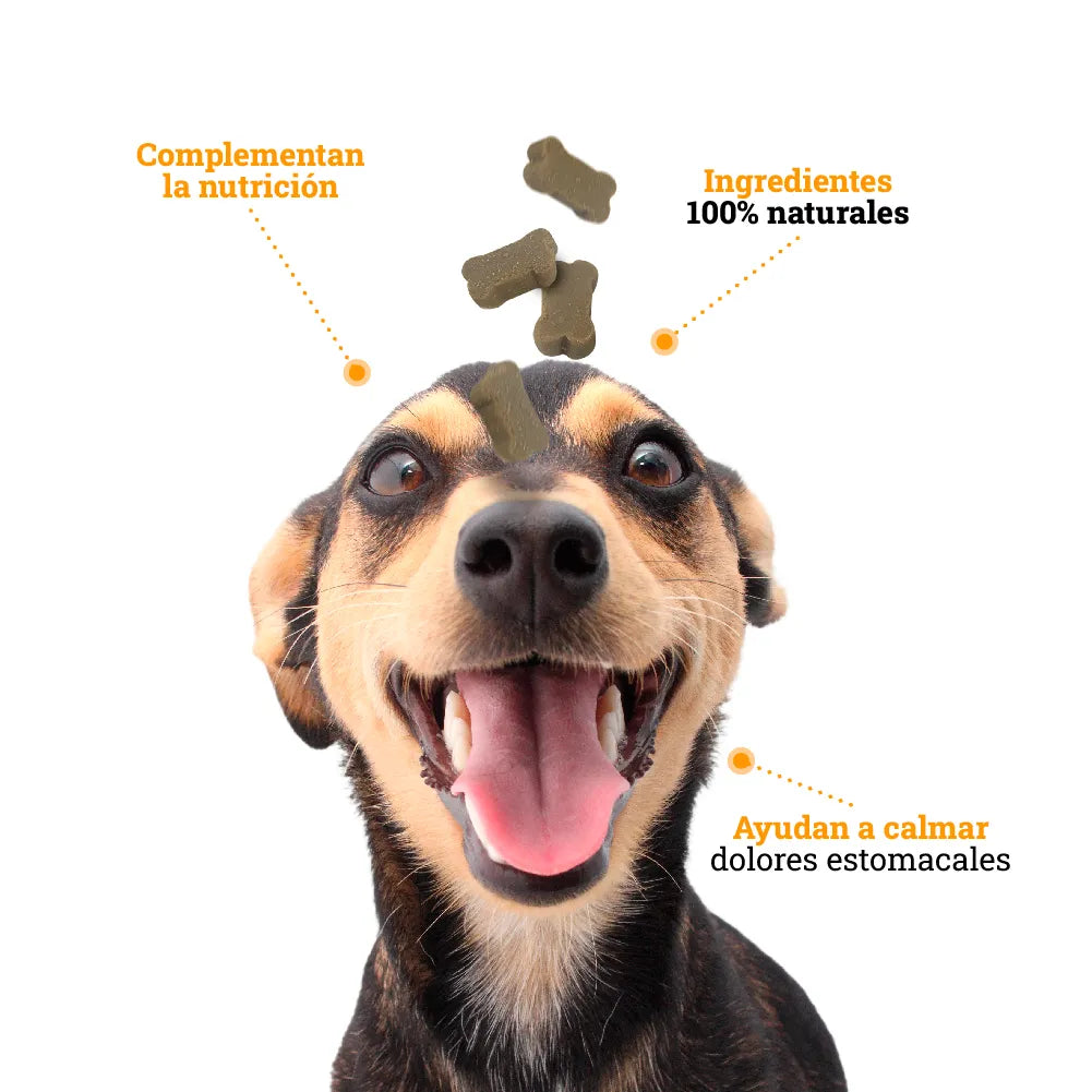Galleta Efecto Calmante Kanu Pet para perros