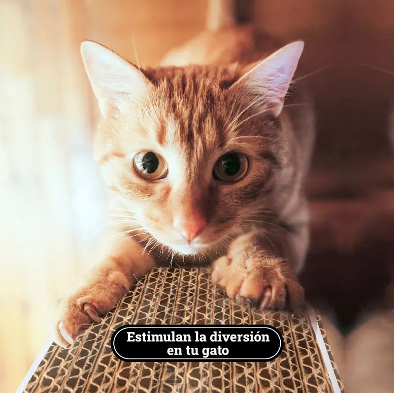 Rascador para Gato Ref B450 45 x 11 Cm