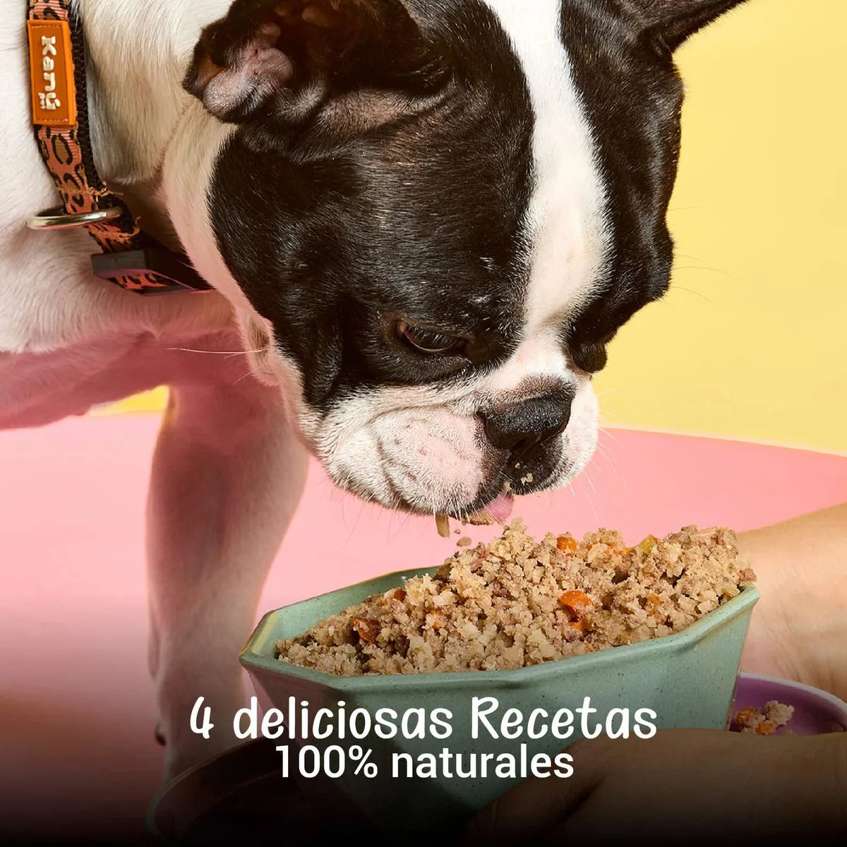 Alimento Congelado Receta Gourmet de Kanu Pet sabor a Pollo - Lentejas para perros. 100% Comida Real