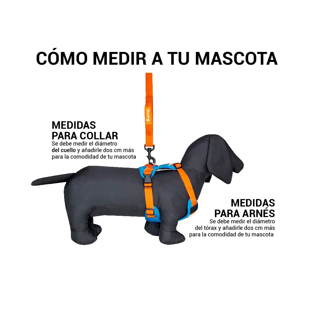 Pechera Acolchada Walker Naranja y Azula Kanu Pet para Perro