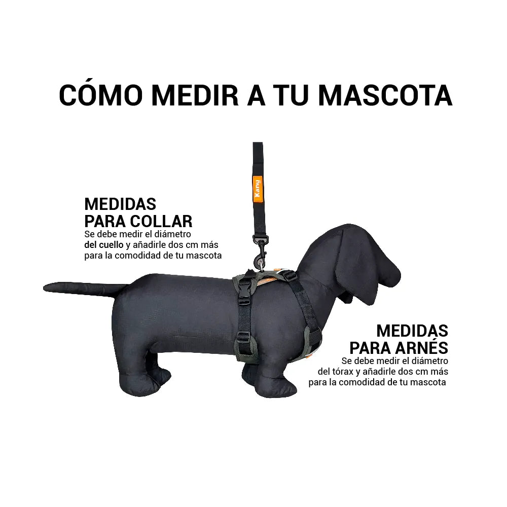 Pechera Acolchada Walker Gris Kanu Pet para Perro