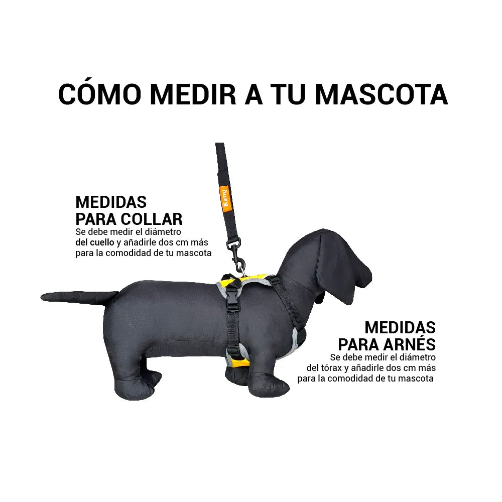 Pechera Acolchada Walker Aarilla Kanu Pet para Perro