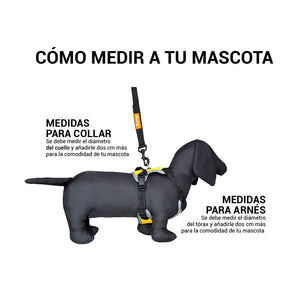 Pechera Acolchada Walker Aarilla Kanu Pet para Perro
