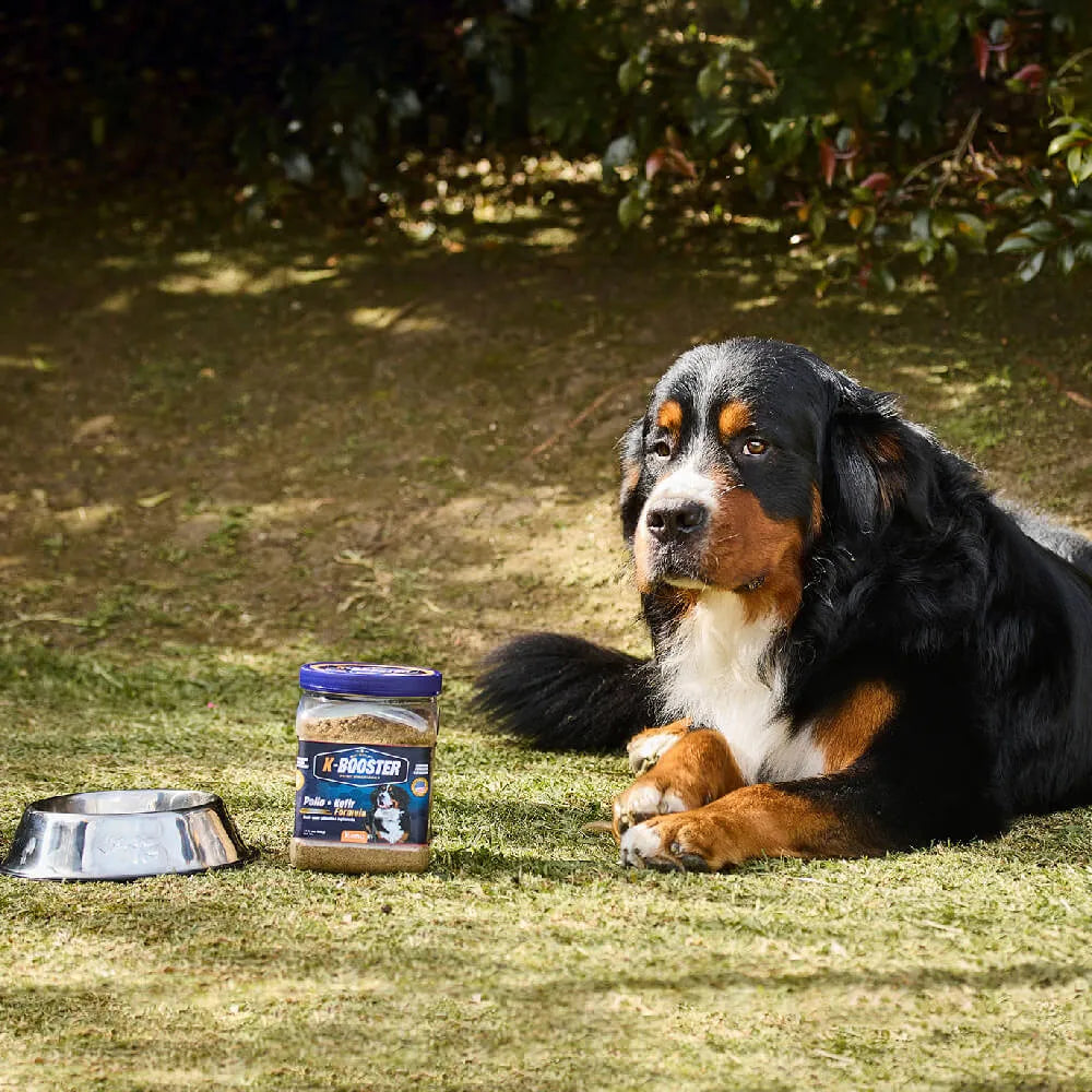 Suplemeneto K-Booster  de Pollo Liofilizado Kanu Pet para perros