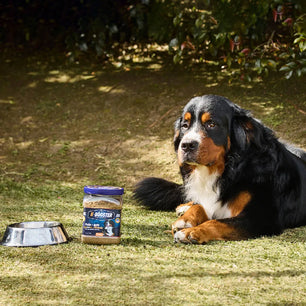 Suplemeneto K-Booster  de Pollo Liofilizado Kanu Pet para perros