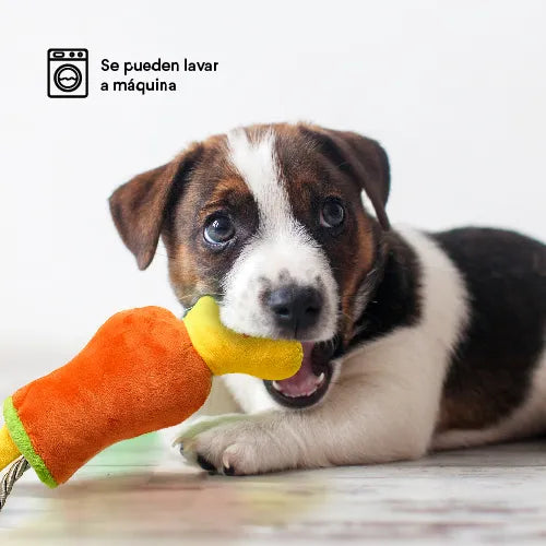Juguete Peluche Coctel Summer Kanu Pet para Perro
