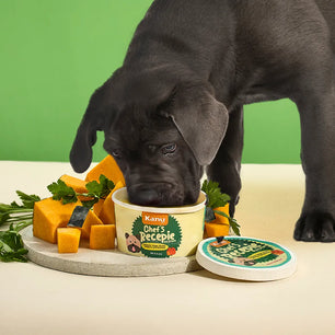 Helado  de Calabaza Chef Recipe  Kanu Pet  para Perro y Gato