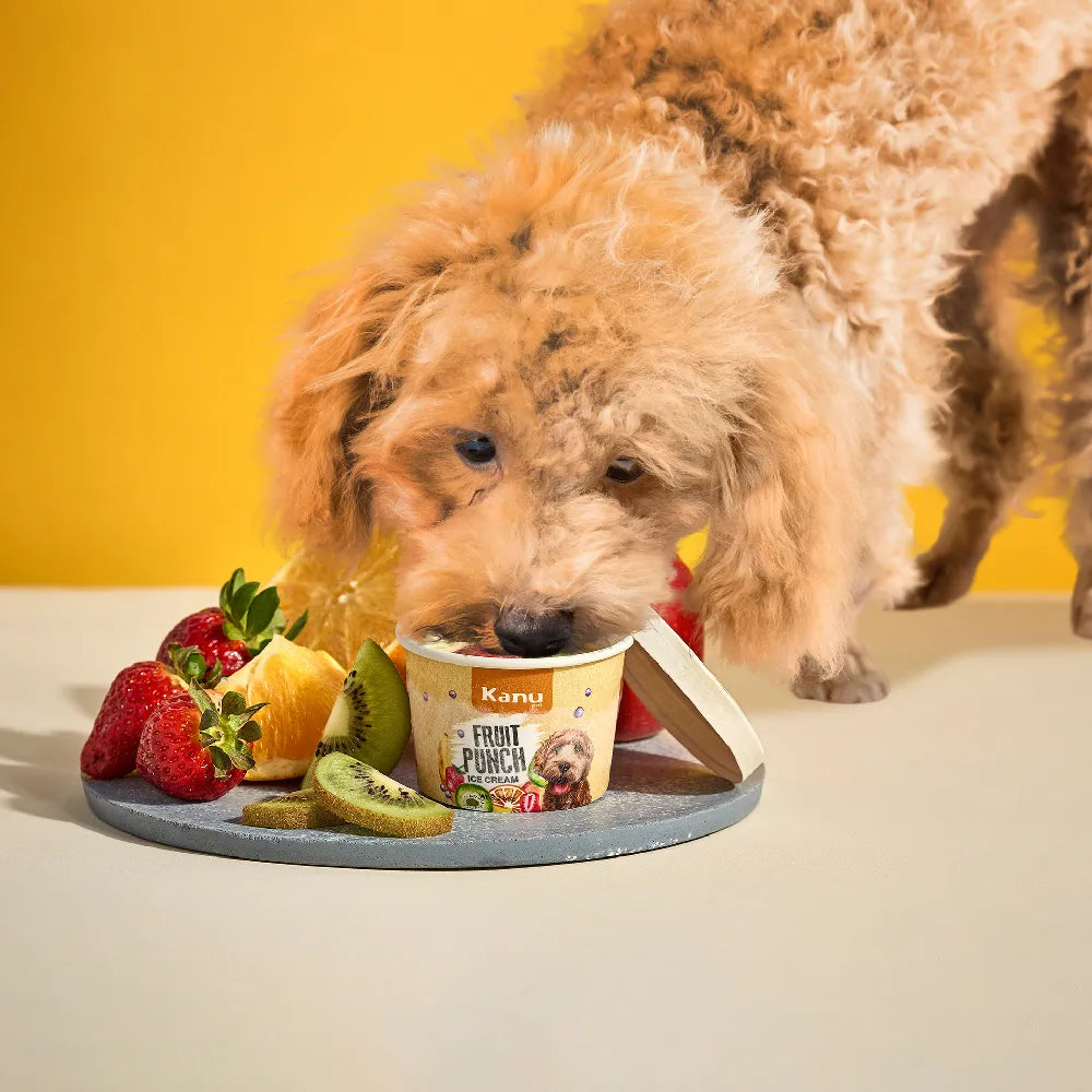 Helado de Fruit Punch  Kanu Pet  para Perro y Gato