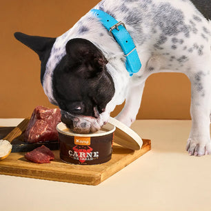 Helado de Carne  Kanu Pet  para Perro y Gato