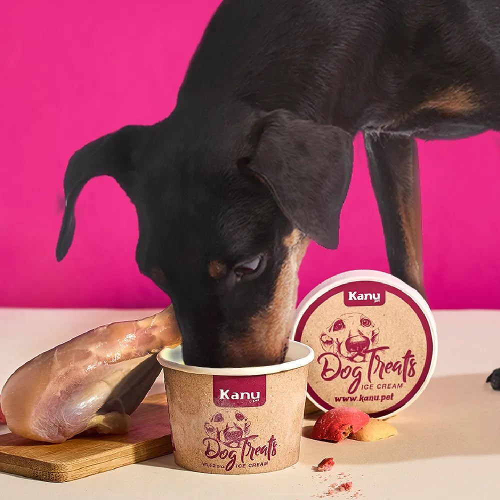 Helado de Galleta Pollo  Kanu Pet  para Perro y Gato 5.5 Oz