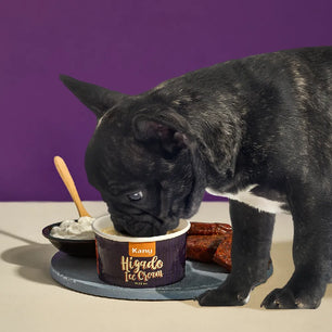 Helado de Hígado Kanu Pet  para Perro y Gato
