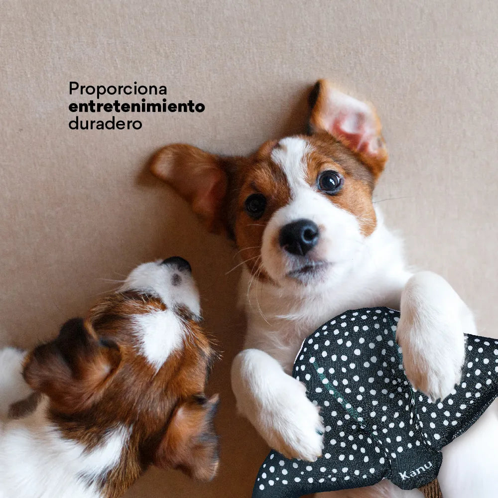 Juguete Peluche Mantarraya Mar Kanu Pet para Perro