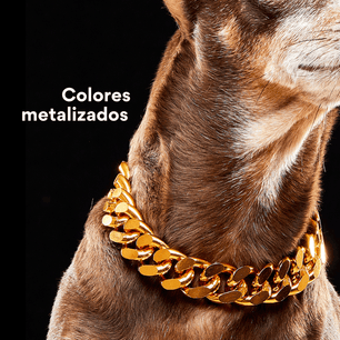 Collar Cadena Cubana Kanu Pet Dorada Para Perro y Gato