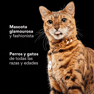 Collar Cadena Cubana Kanu Pet Dorada Para Perro y Gato