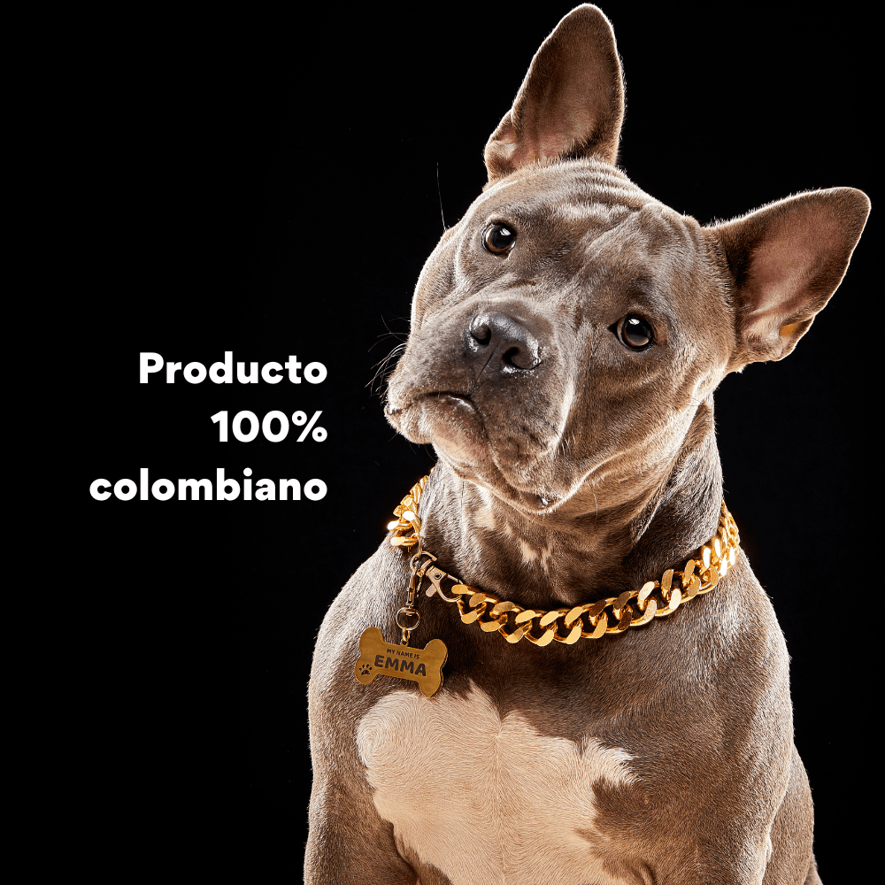 Collar Cadena Cubana Kanu Pet Dorada Para Perro y Gato