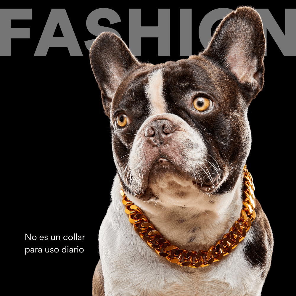Collar Cadena Cubana Kanu Pet Plateada para Perro y Gato