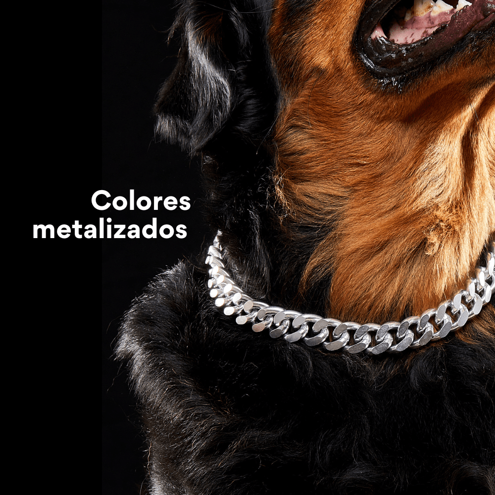 Collar Cadena Cubana Kanu Pet Plateada para Perro y Gato