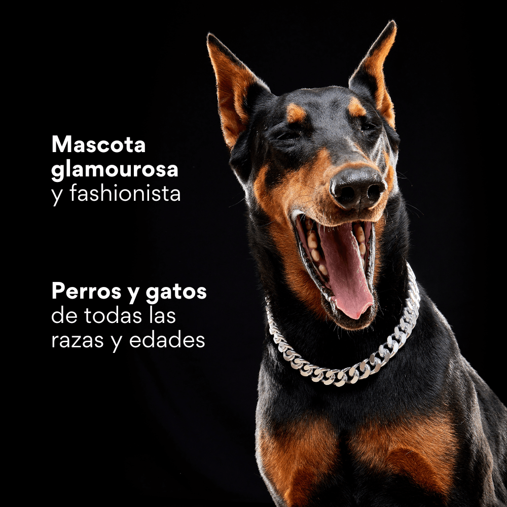 Collar Cadena Cubana Kanu Pet Plateada para Perro y Gato