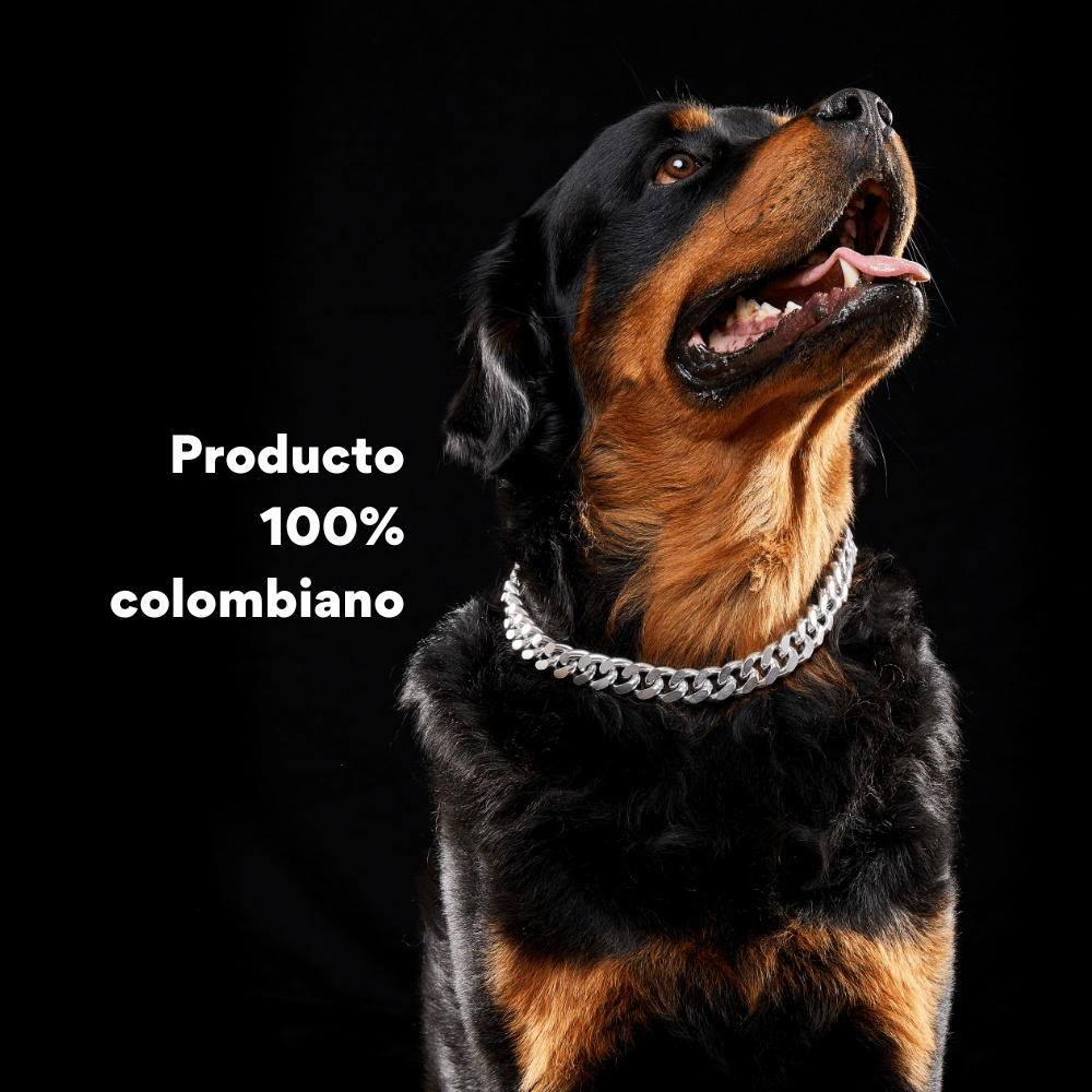Collar Cadena Cubana Kanu Pet Plateada para Perro y Gato