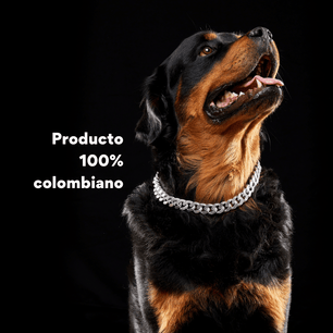 Collar Cadena Cubana Kanu Pet Plateada para Perro y Gato