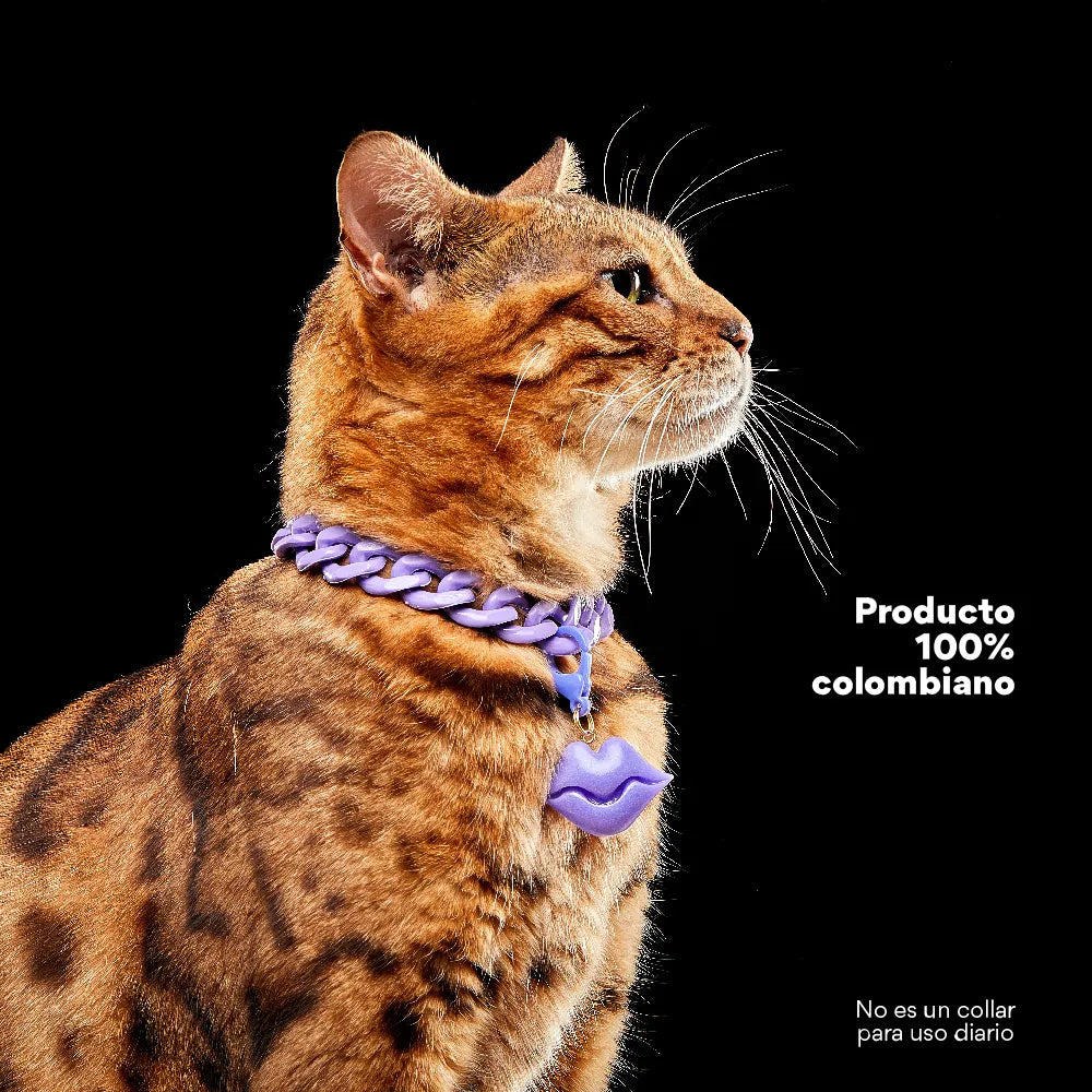 Collar Cadena Acrilica Kanu Pet Lila Para Perro y Gato