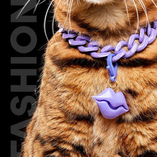 Collar Cadena Acrilica Kanu Pet Lila Para Perro y Gato