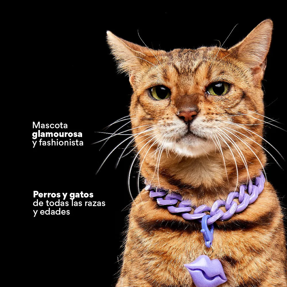 Collar Cadena Acrilica Kanu Pet Lila Para Perro y Gato