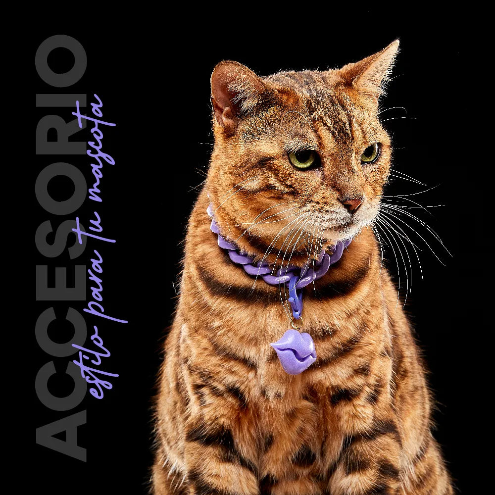 Collar Cadena Acrilica Kanu Pet Lila Para Perro y Gato