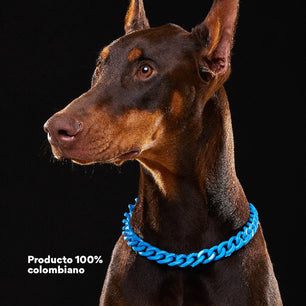 Collar Cadena Acrilica Kanu Pet Azul Para Perro y Gato