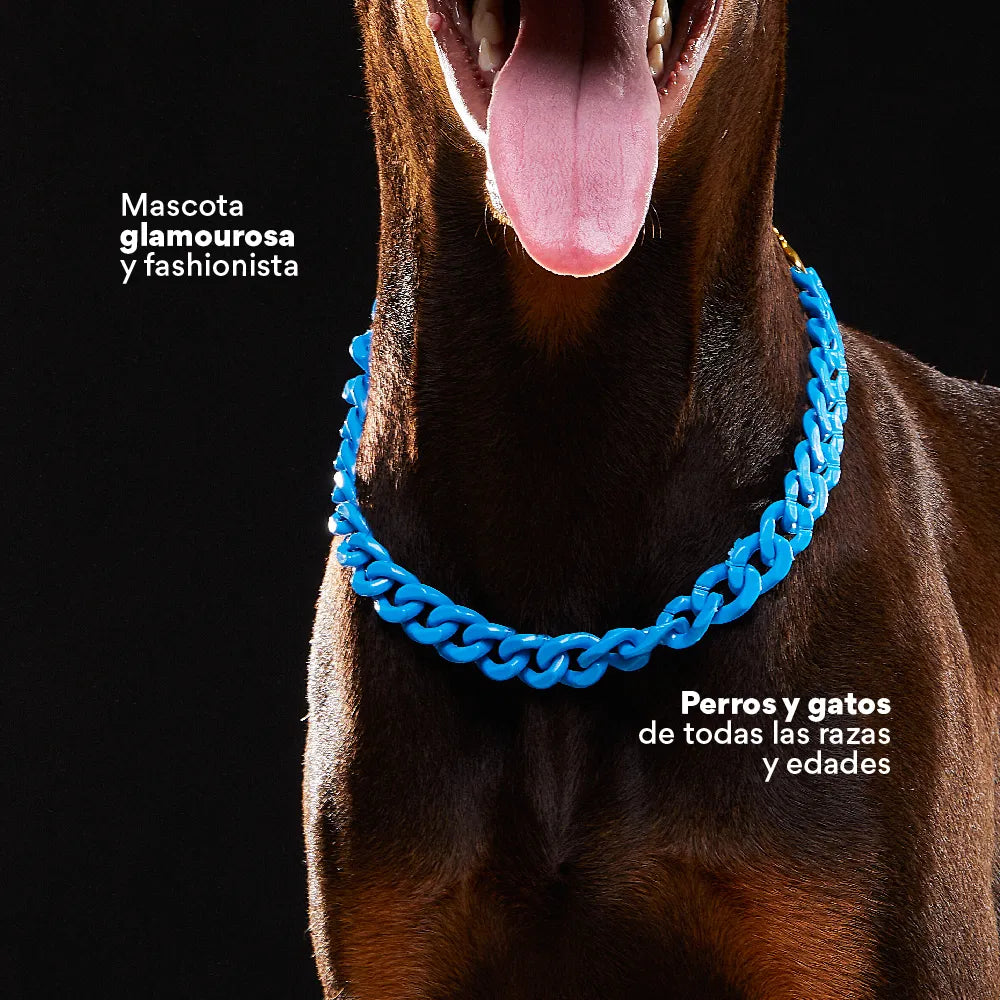 Collar Cadena Acrilica Kanu Pet Azul Para Perro y Gato