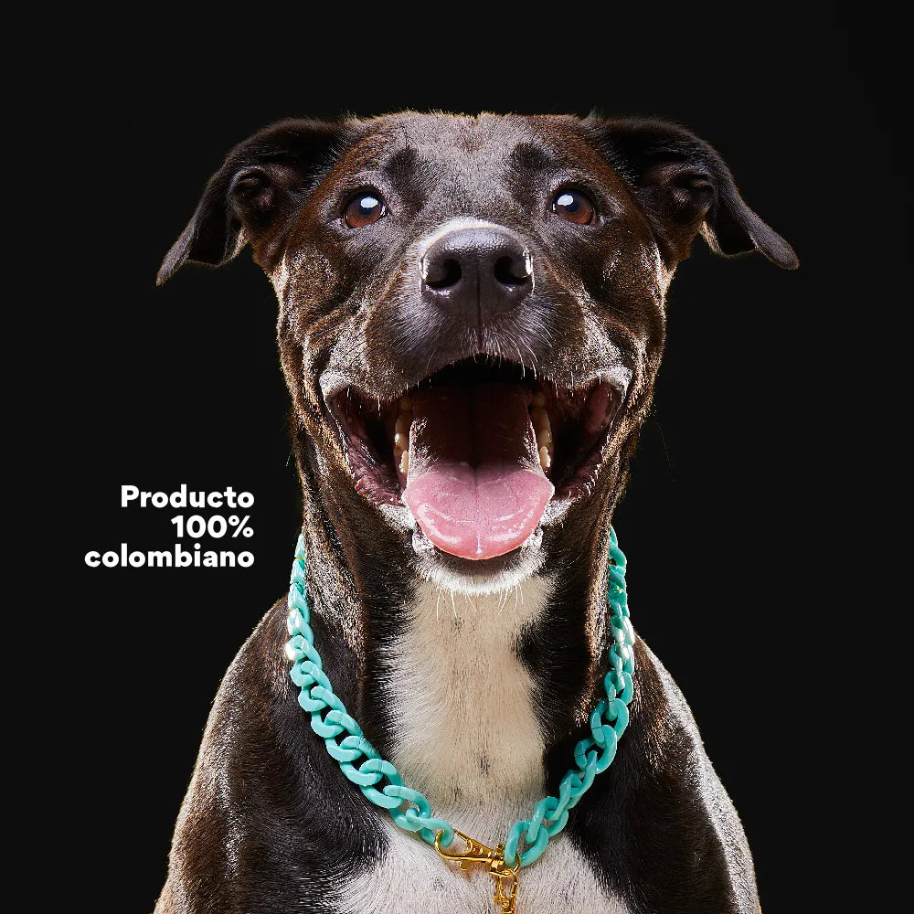 Collar Cadena Acrilica Kanu Agua Marina  Para Perro y Gato