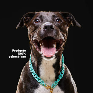 Collar Cadena Acrilica Kanu Agua Marina  Para Perro y Gato