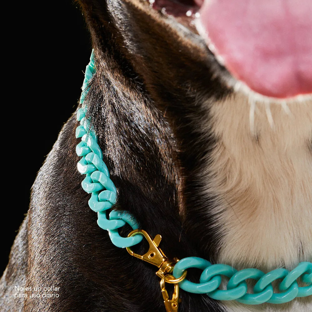 Collar Cadena Acrilica Kanu Agua Marina  Para Perro y Gato
