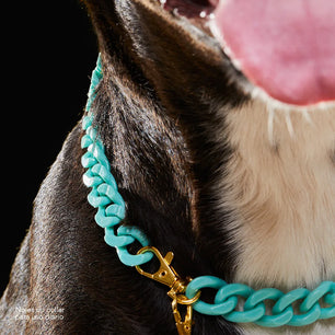 Collar Cadena Acrilica Kanu Agua Marina  Para Perro y Gato