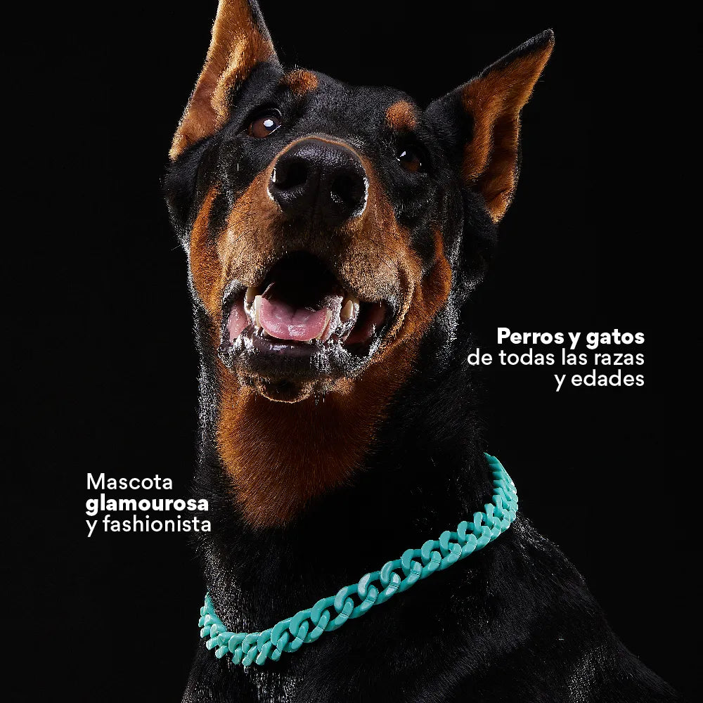 Collar Cadena Acrilica Kanu Agua Marina  Para Perro y Gato