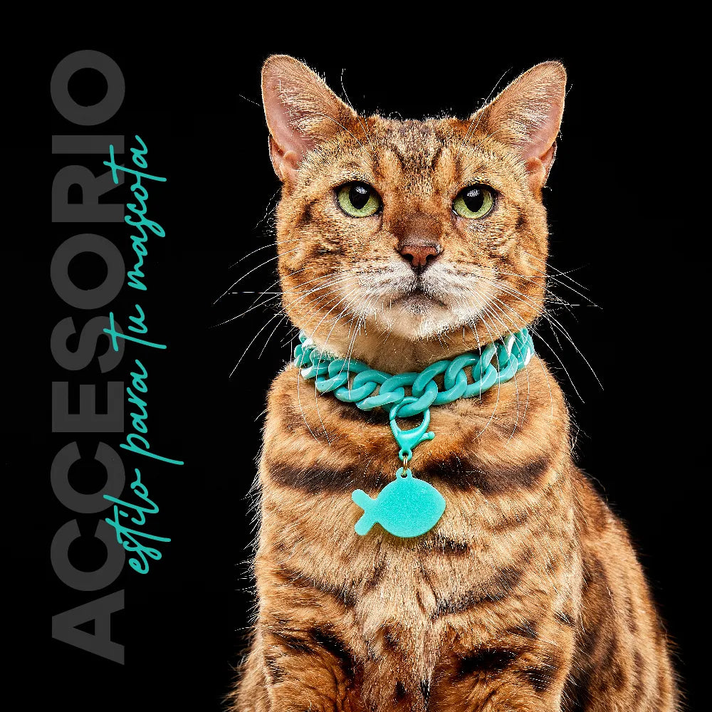 Collar Cadena Acrilica Kanu Agua Marina  Para Perro y Gato