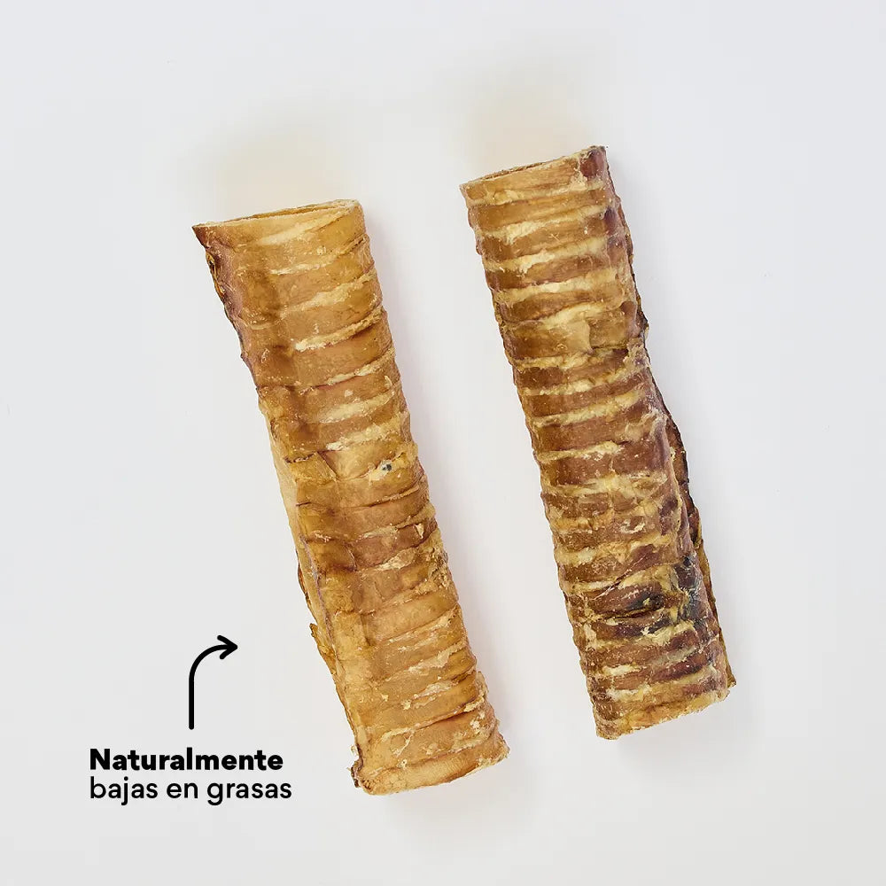Snack Kanu Pet Traquea de Res para Perro, Un Solo ingrediente 100% natural