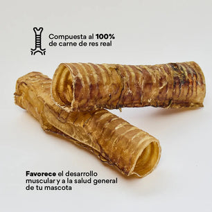 Snack Kanu Pet Traquea de Res para Perro, Un Solo ingrediente 100% natural