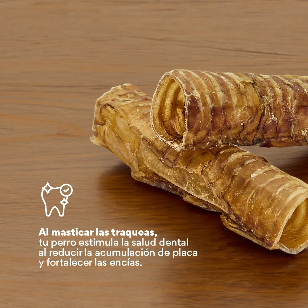 Snack Kanu Pet Traquea de Res para Perro, Un Solo ingrediente 100% natural