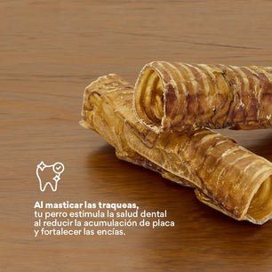 Snack Kanu Pet Traquea de Res para Perro, Un Solo ingrediente 100% natural