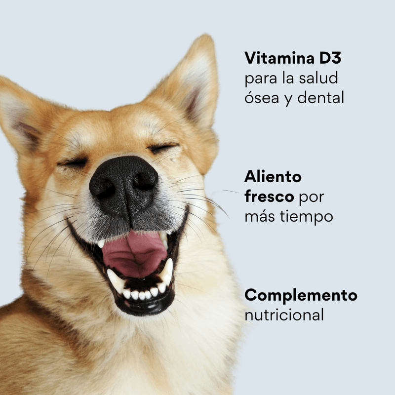 Snacks para la placa y el sarro Kanu Pet Nuggets Dental Care para Perro 100 GR