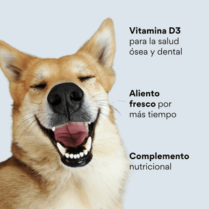 Snacks para la placa y el sarro Kanu Pet Nuggets Dental Care para Perro 100 GR